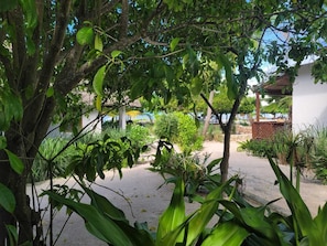 A garden with various plants and trees, a pathway, and a building in the background. - Lost Soles Lōdge (Jambiani)