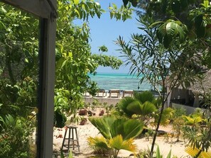 Property grounds - Driftwood Beach Lodge (Jambiani)