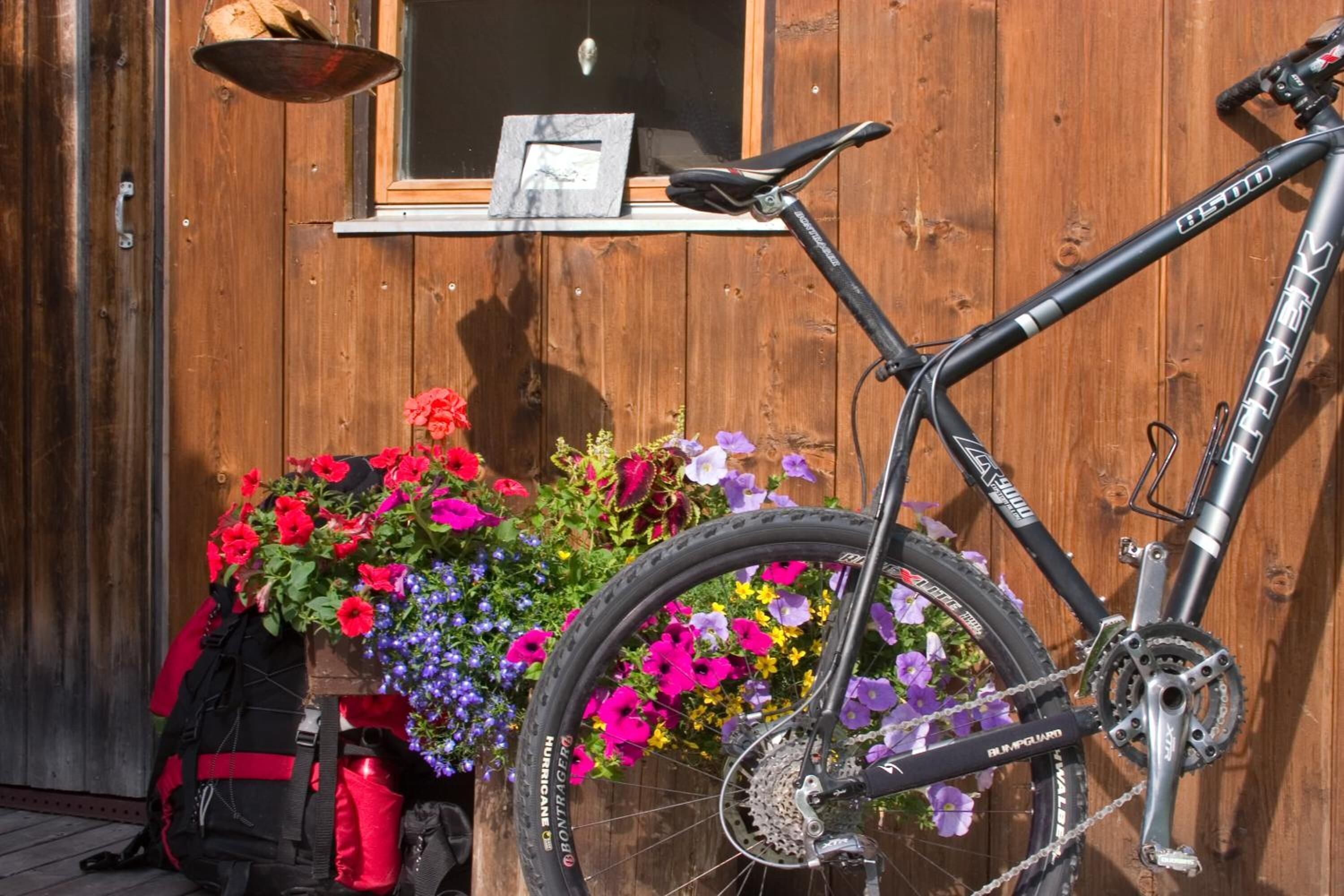 Una bicicleta estacionada junto a una pared de madera con una ventana y una maceta de flores.