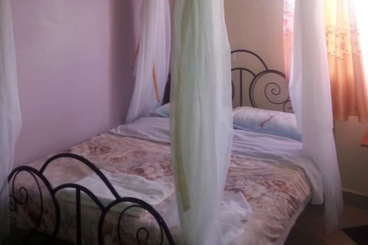 Una cama con dosel, cabecera de metal y pared lisa.