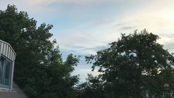 Apartment, 1 Bedroom, Non Smoking, Terrace | View from room