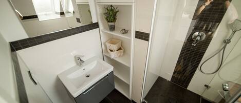 A modern bathroom with a white sink, a glass shower enclosure, and a potted plant on a shelf.
