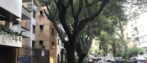 Área da propriedade