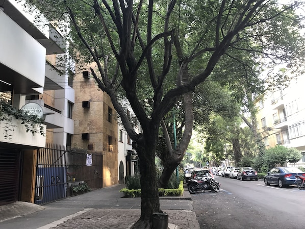 Stroll along the tree-lined cobblestone street, passing by the modern Polanco building.