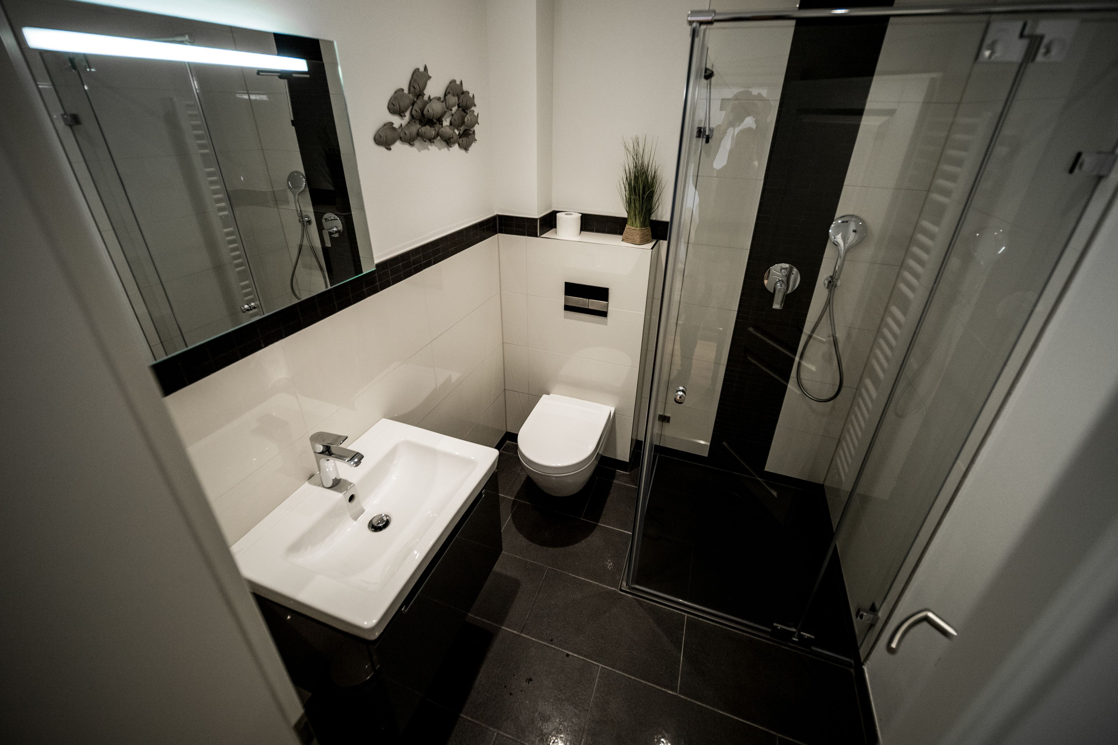 A modern bathroom with a glass-enclosed shower, a white sink, and a toilet.