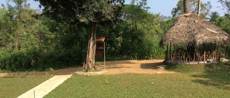 Ngoại thất