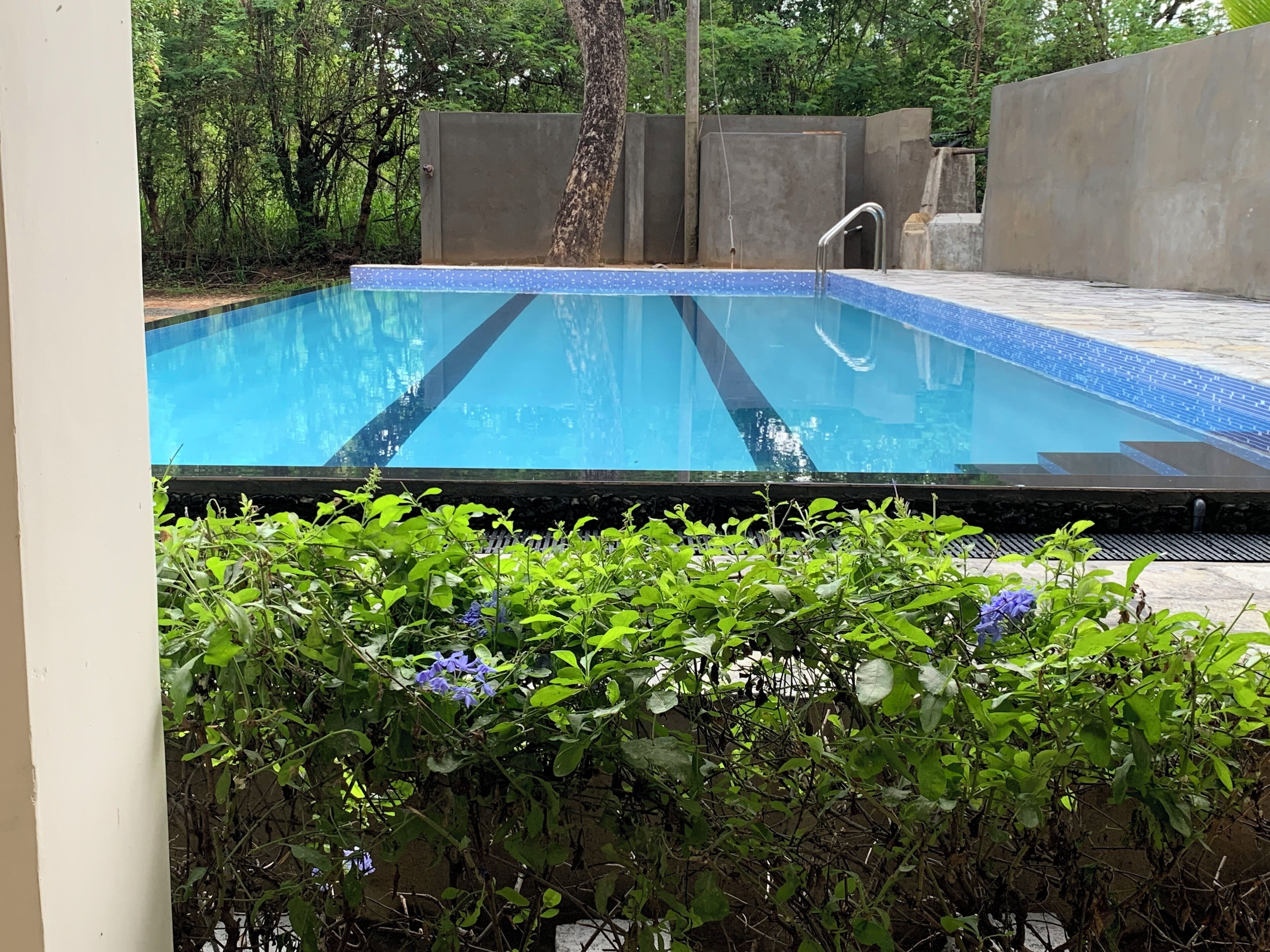 A rectangular swimming pool with clear blue water, surrounded by greenery and a concrete wall.