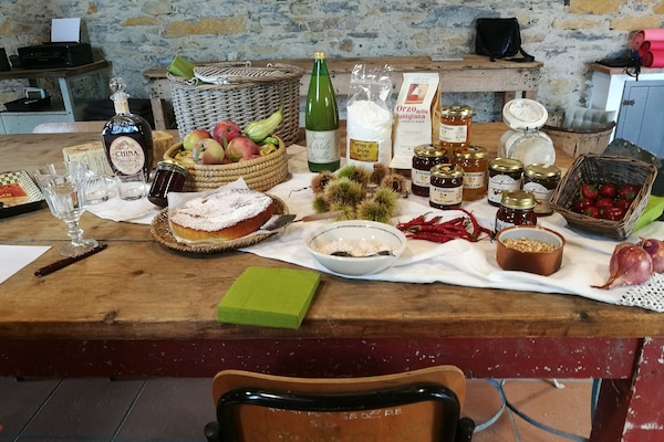 Kontinental morgenmad hver dag (5 EUR pr. person)