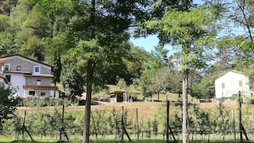 住宿正面