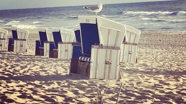 Des chaises de plage sont alignées sur une plage de sable, avec l’océan en arrière-plan.
