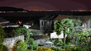 A courtyard with stone walls, a palm tree, and a small table and chair set. - House in the paradise garden above v. Gargnano for individuals u. Children (Gargnano)