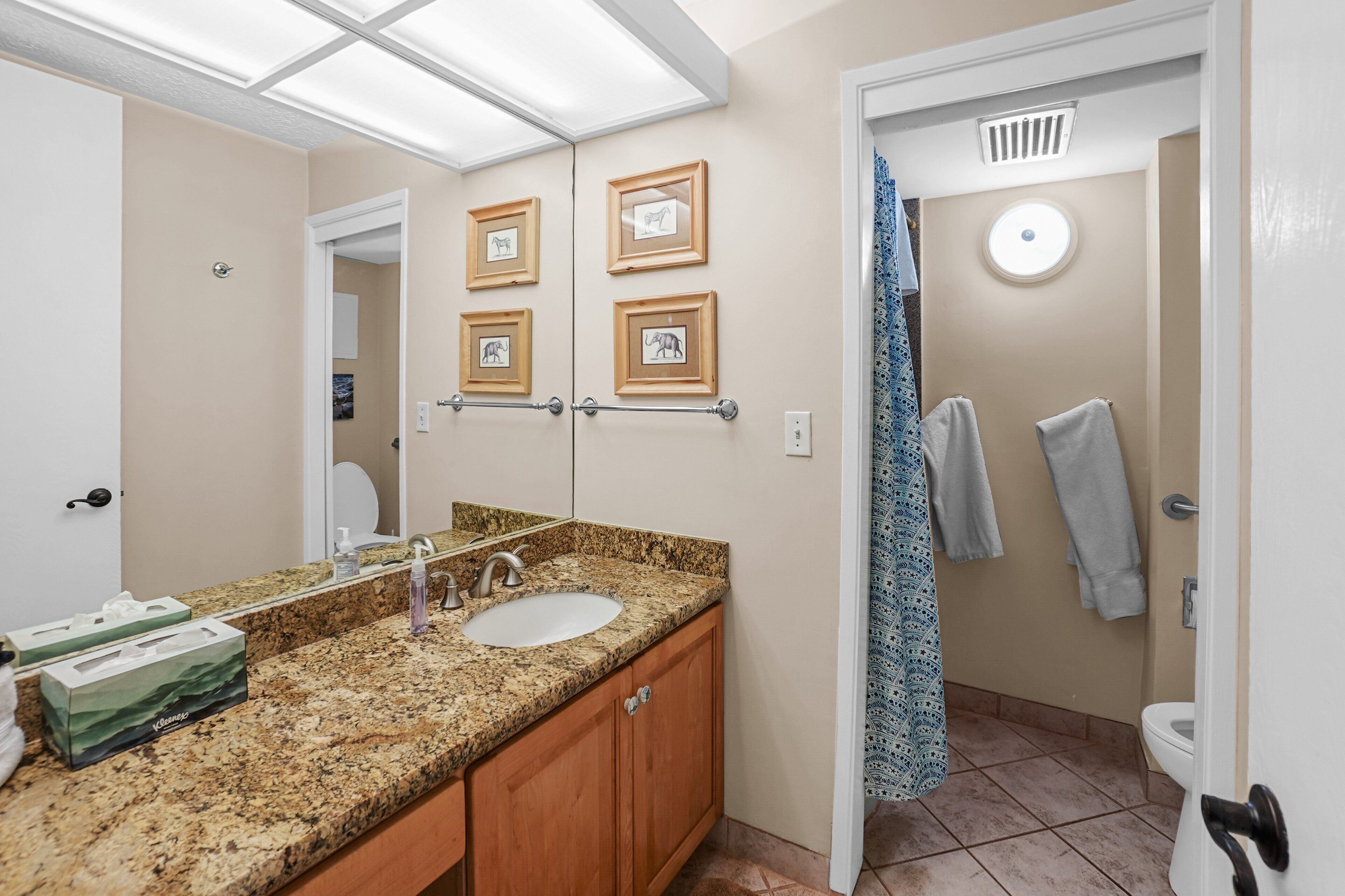 A bathroom with a granite countertop sink, wooden cabinets, framed pictures on the wall, a shower curtain, and a toilet.