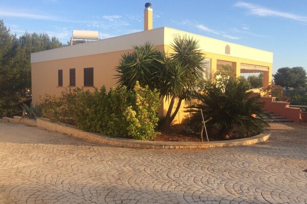 A modern building with a flat roof, a water tank on the roof, and a paved courtyard with a palm tree and shrubs.