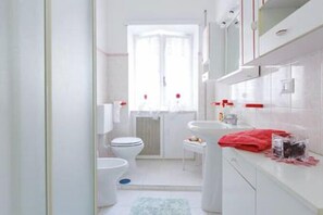Shower, free toiletries, hair dryer, bidet