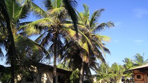 A tropical resort with palm trees, a paved road, and buildings with a simple architectural style.