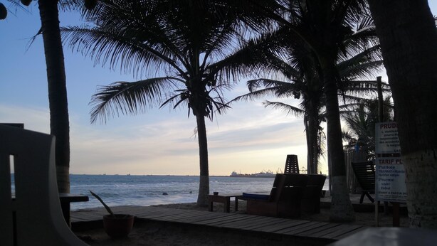 A beachside area with palm trees, lounge chairs, and a wooden deck overlooking the sea.