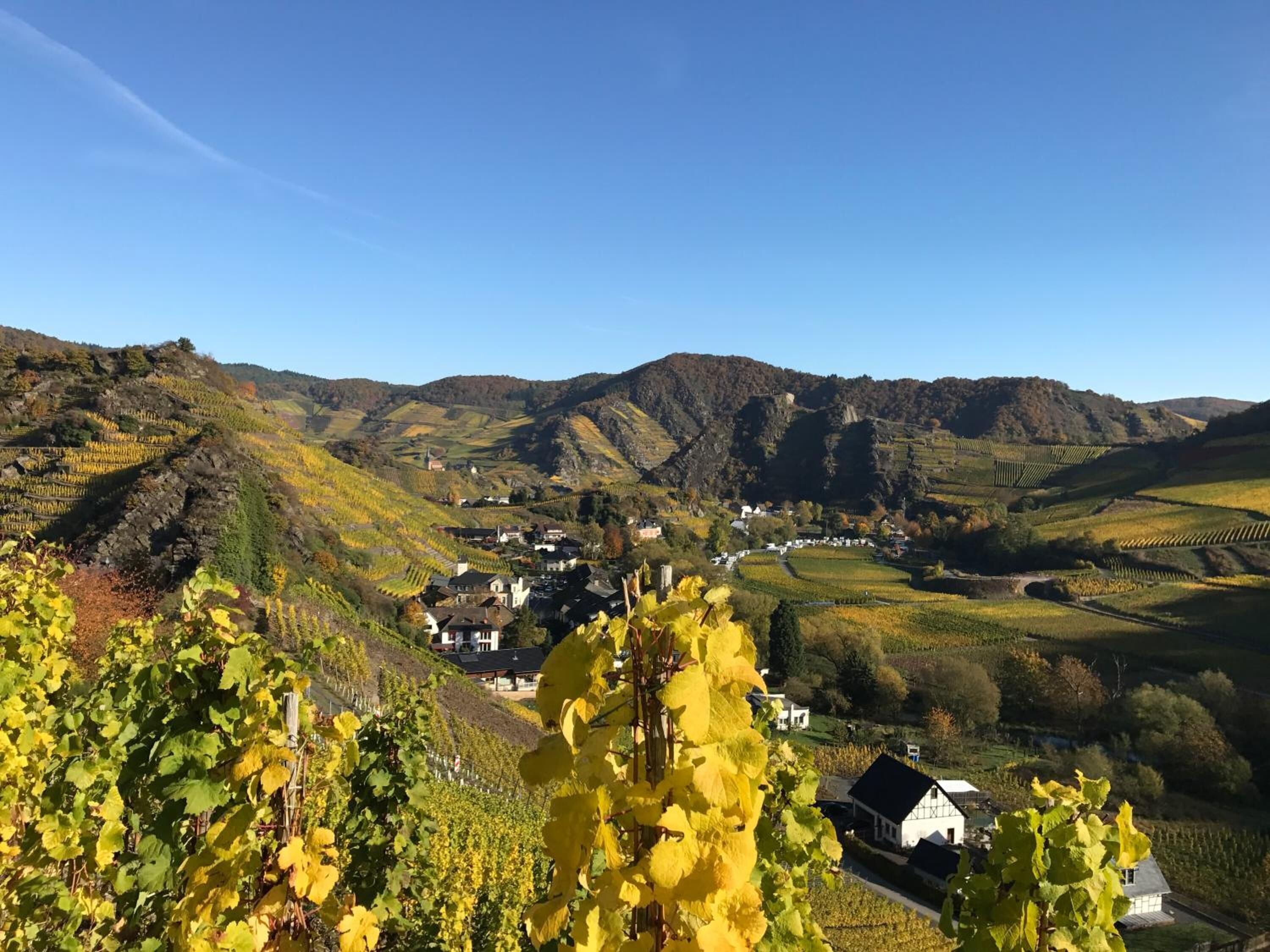 Un paysage de vignes avec des maisons nichées au creux des collines.