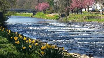 A river with flowing water, a bridge in the background, and yellow flowers in the foreground.