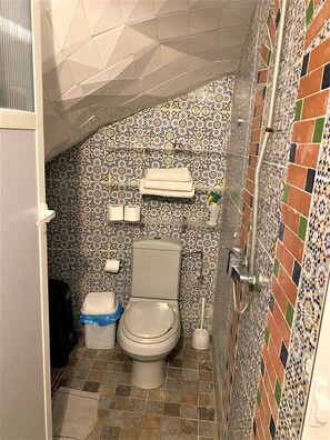 Ducha, secador de pelo, toallas y jabón