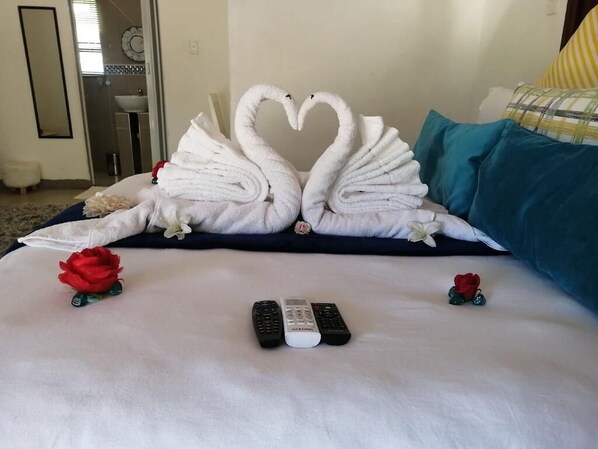 Double Room - Sinesan Guesthouse (Vereeniging)