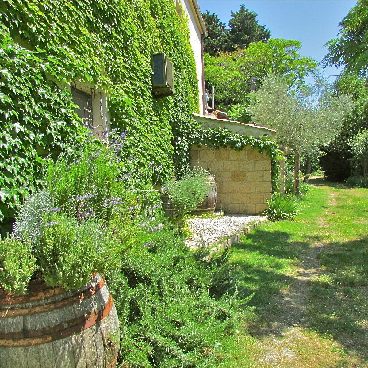 Parco della struttura