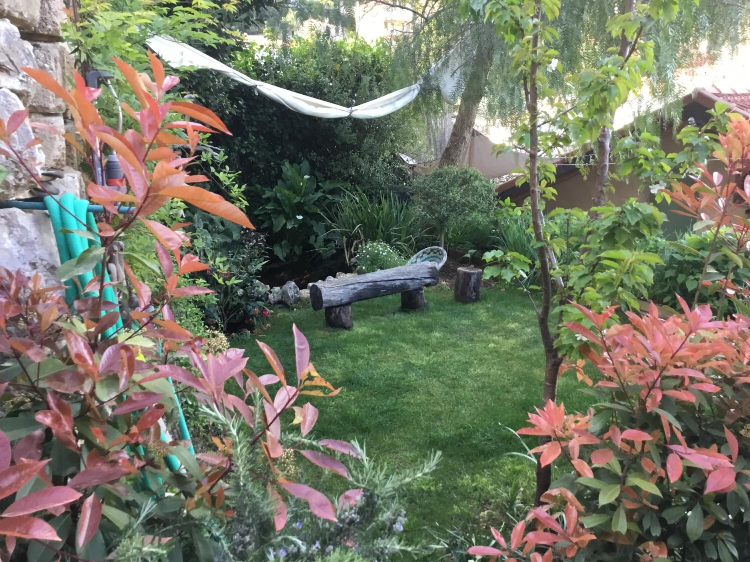 Un jardin agrémenté d’un hamac, d’un mur en pierre et de diverses plantes.