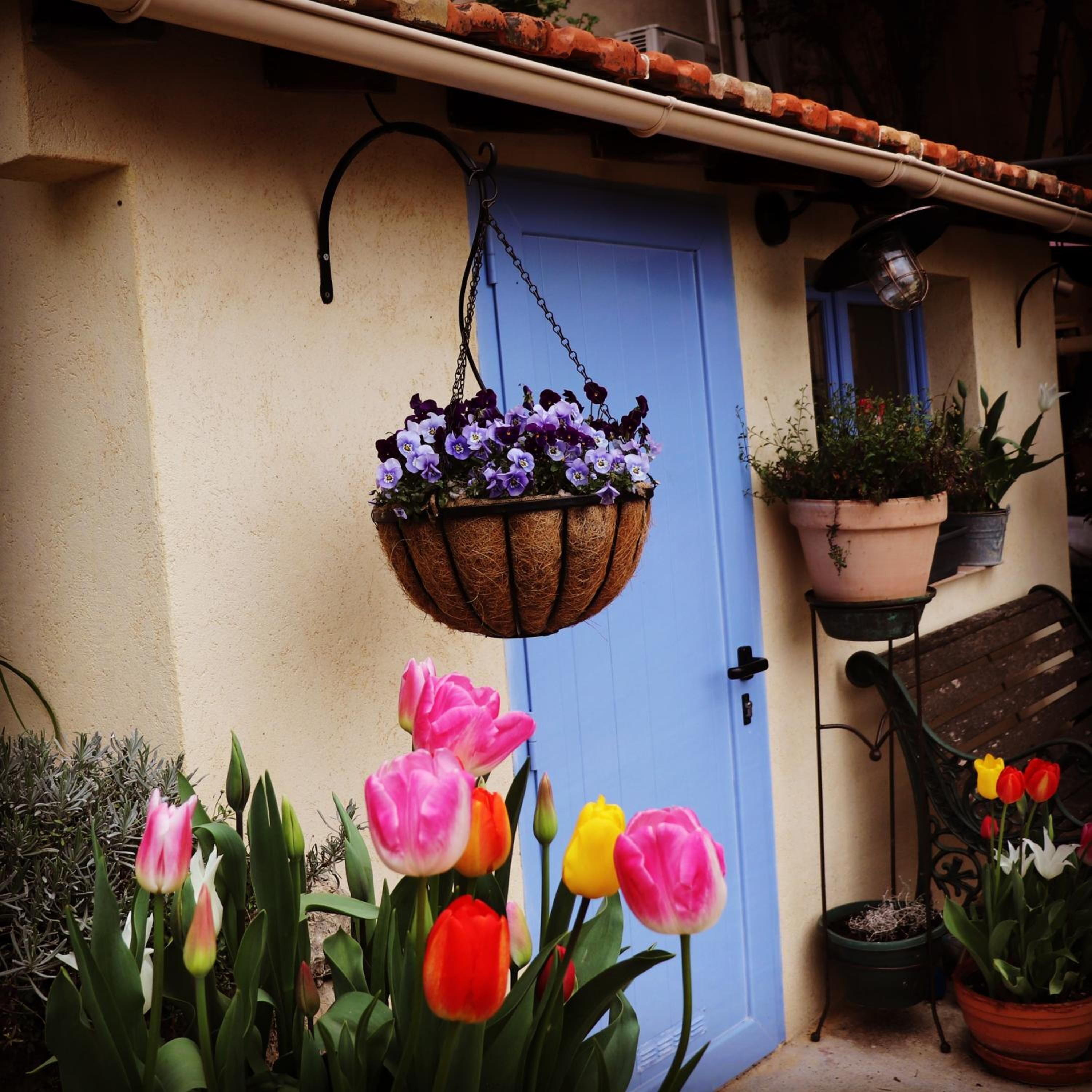 Una puerta azul adornada con una cesta de flores colgante, un banco y macetas con plantas a la derecha.