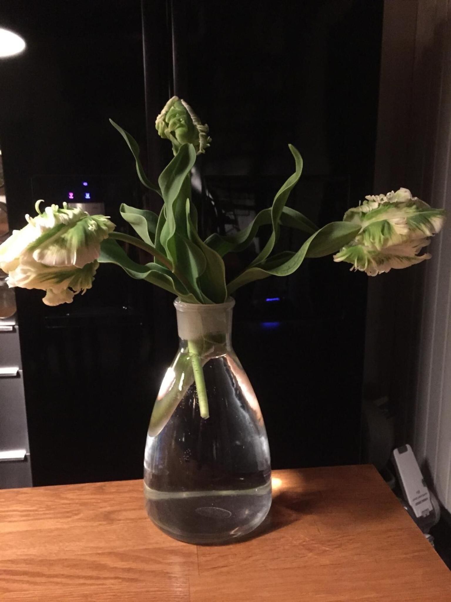 Foto - Skylark Bed & Breakfast