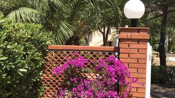 DĂ©tail de lâextĂ©rieur