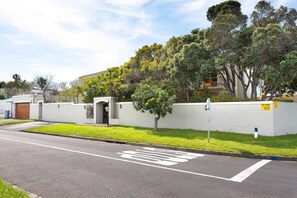 A street view with a clear road, a white building with a brown door, and a tree in the foreground.
