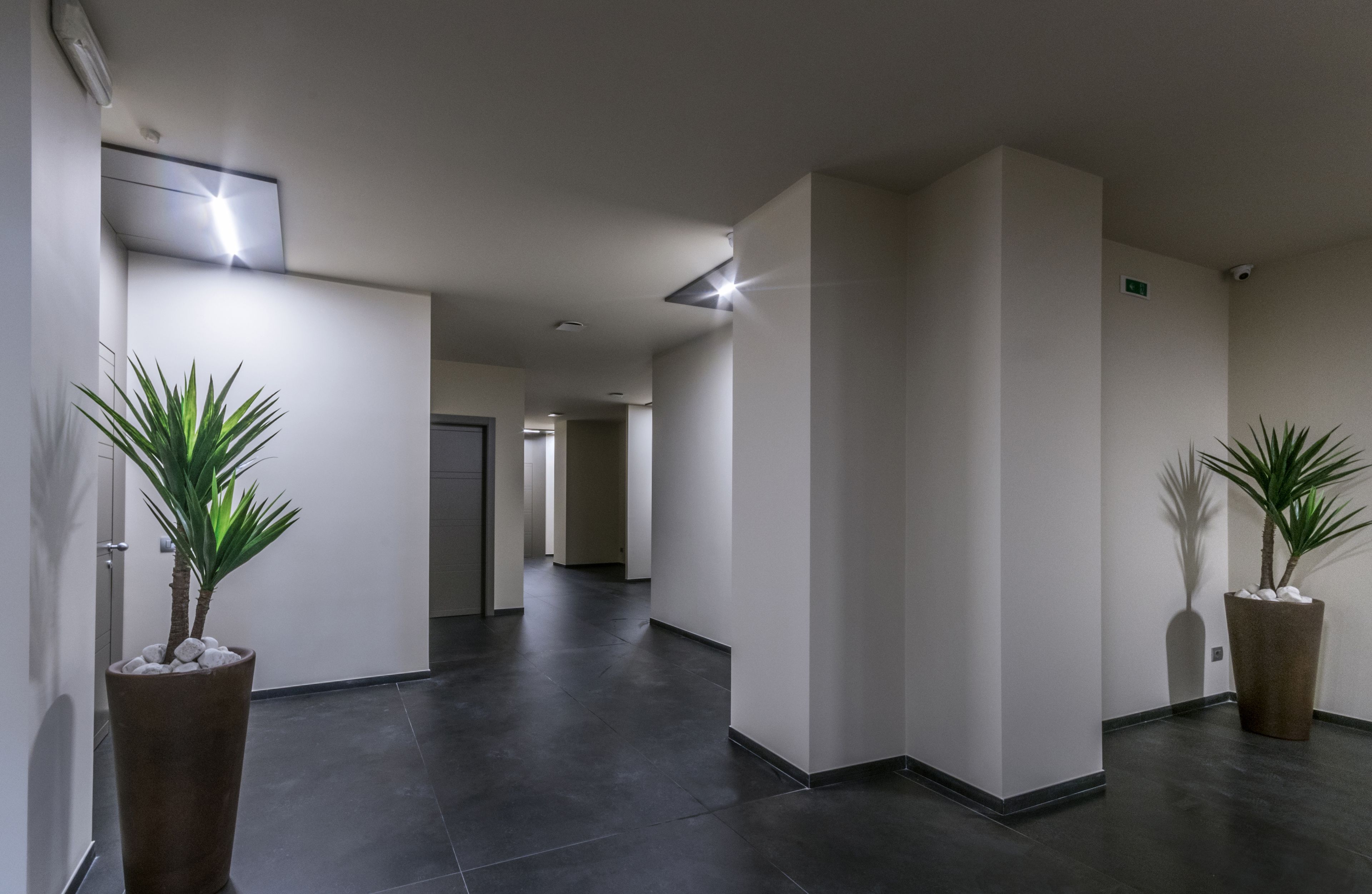 A modern hallway with dark tiled flooring, white walls, and two potted plants.