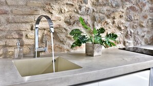 Une cuisine moderne avec un évier en acier inoxydable, un robinet et une plante en pot.
