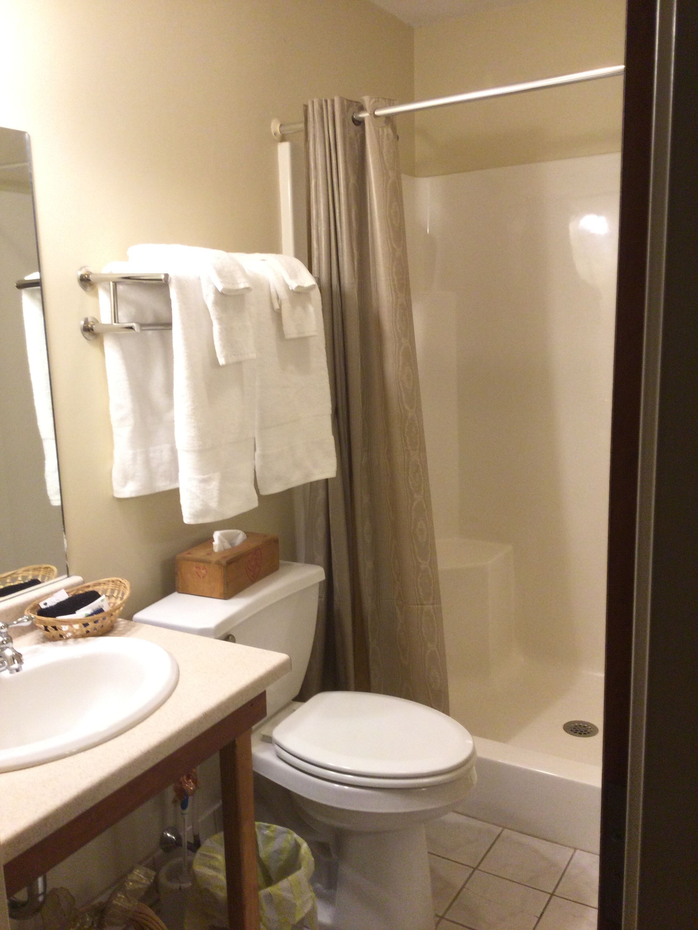 Un bagno con il water, un lavandino e una doccia.