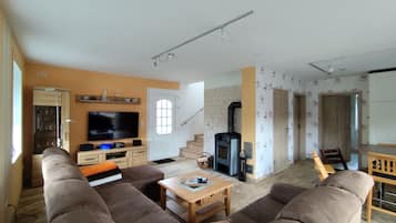 TV connectée, cheminée, lecteur de DVD, livres