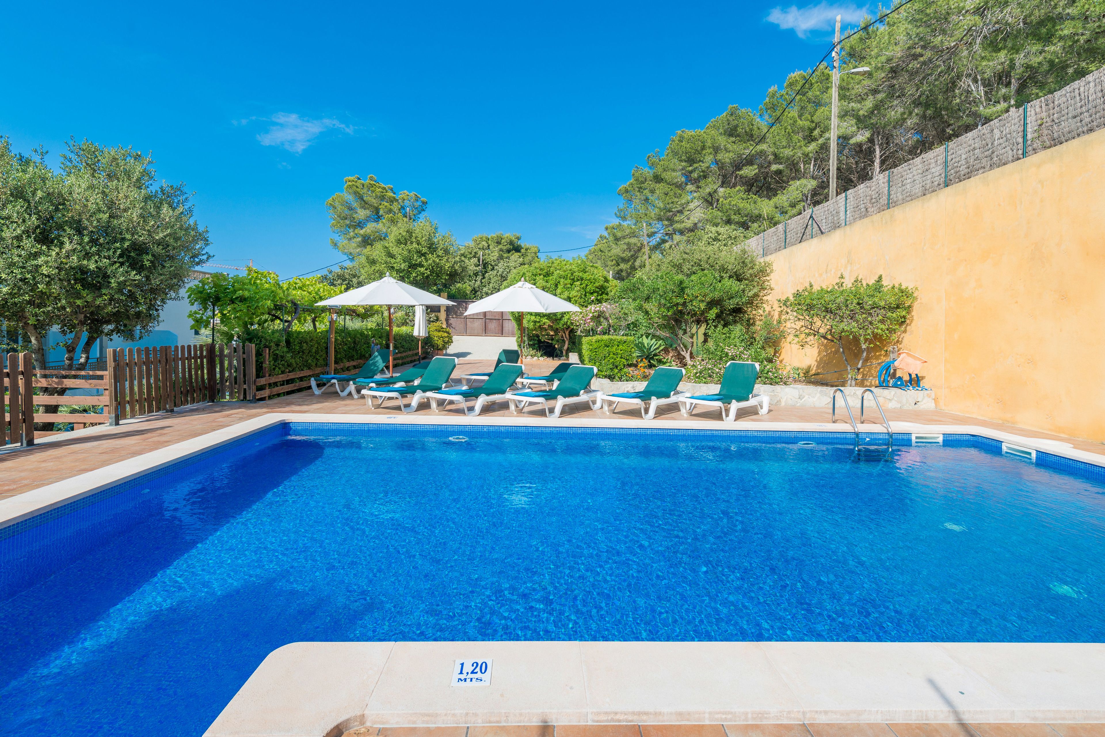 A swimming pool with lounge chairs and umbrellas, surrounded by a wooden fence and trees.