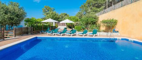 A swimming pool with lounge chairs and umbrellas, surrounded by a wooden fence and trees.