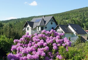Exterior - Villa Impresja (Swieradow-Zdroj)