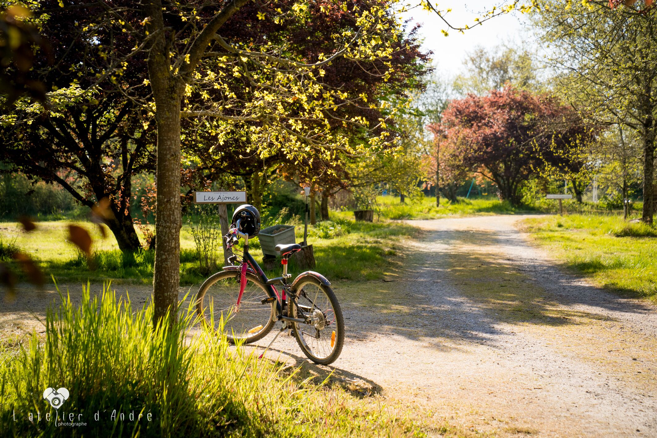 A bicycle parked on a dirt path with a sign reading 'Les Ajoies' in a park setting.