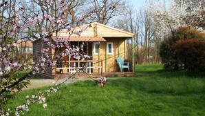 Eine kleine Holzhütte mit einer Veranda, einem blauen Stuhl und blühenden Bäumen im Hintergrund.