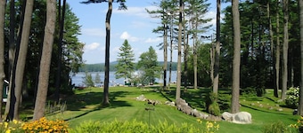 Birches at Gilmore Camps on Kezar Lake