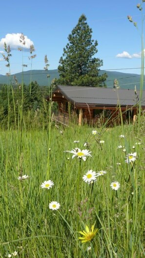 Chalet, Mehrere Betten (Beautiful Log Chalet Near Fernie, B.c) | Unterkunftsgelände