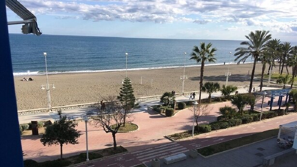 Une vue sur la plage avec un chemin piétonnier, des palmiers et une route menant à la plage.