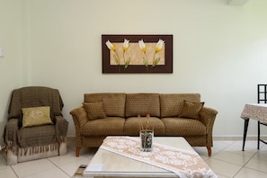Flat-screen TV