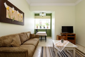 Flat-screen TV