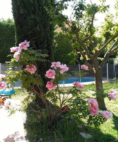 Maison provençale avec piscine privée proche Aix en Provence (6/7 pers.)