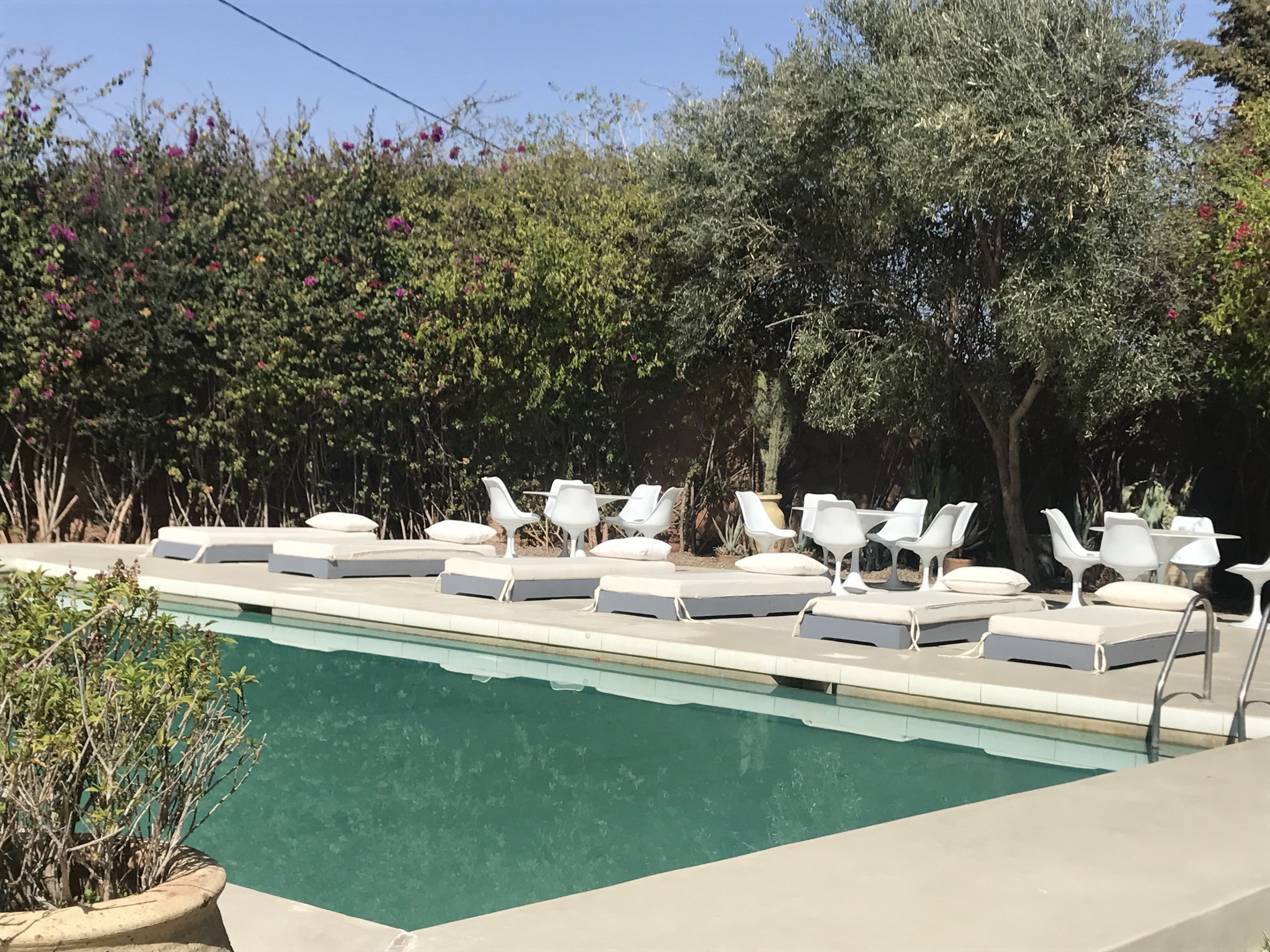 Una piscina al aire libre, sombrillas, sillones reclinables de piscina