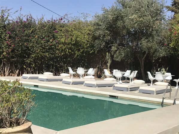 Outdoor pool, pool umbrellas, pool loungers