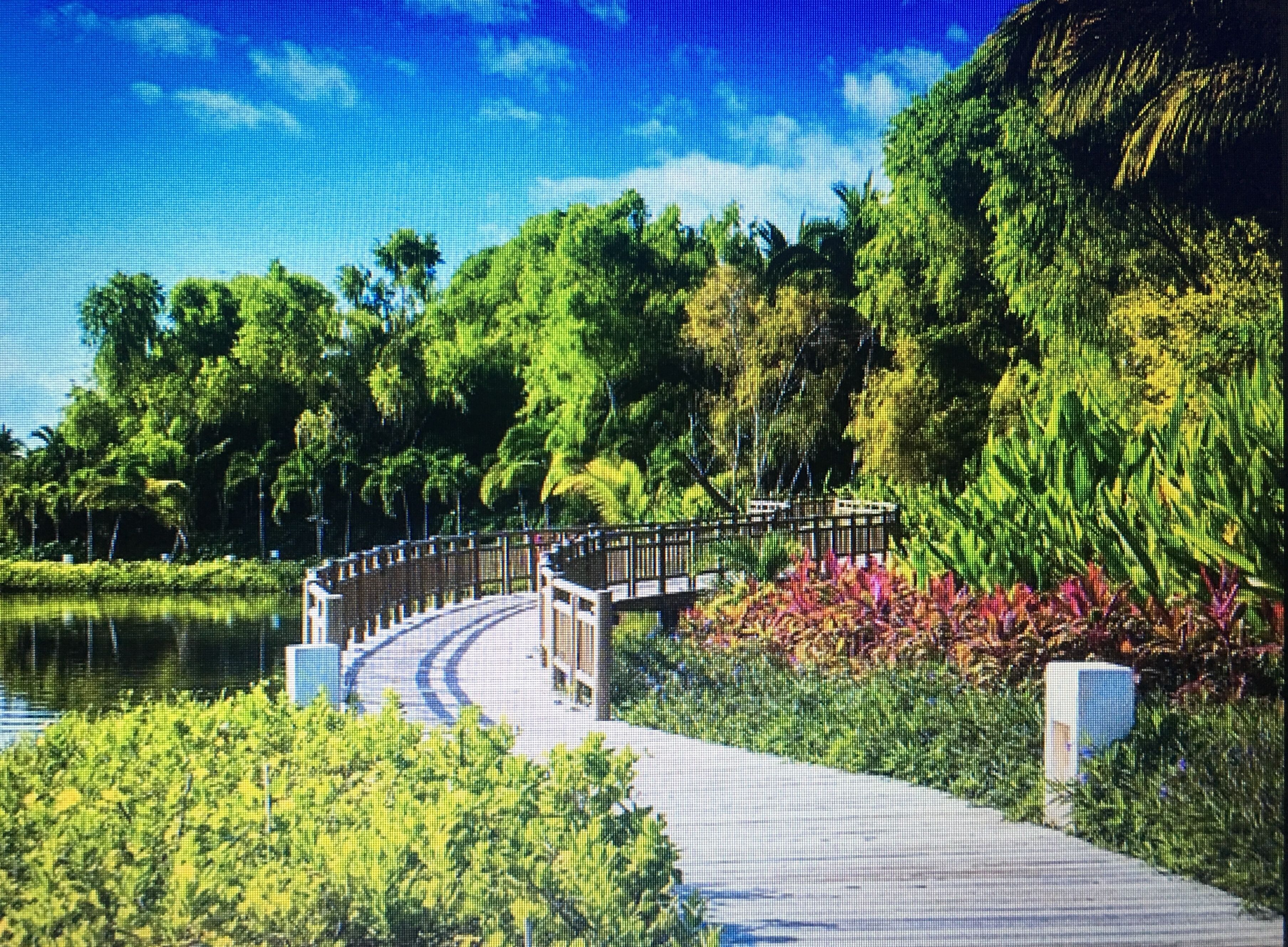 Un sendero que conduce a un puente sobre un cuerpo de agua, rodeado de exuberante vegetación y árboles.