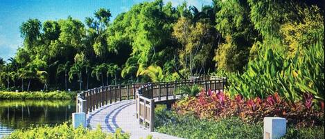 Un sendero que conduce a un puente sobre un cuerpo de agua, rodeado de exuberante vegetación y árboles.