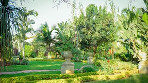 Uklassifisert bilde, 3 av 26, knapp